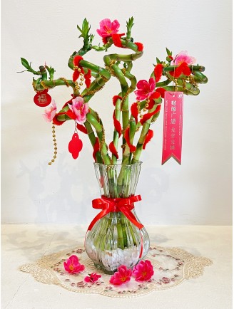 LUCKY BAMBOO 8