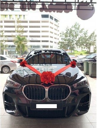 Bridal Car Silk Clothes Design 