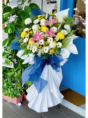 GENTLE SENTIMENT