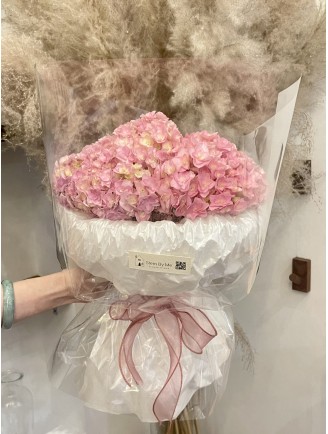 HORTENSIA 