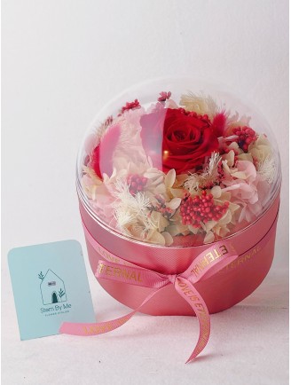 With Love (Preserved Flower) 