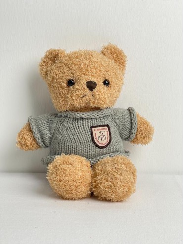 SWEATER TEDDY BEAR 1