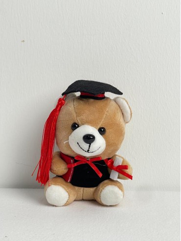 BROWN GRADUATION BEAR