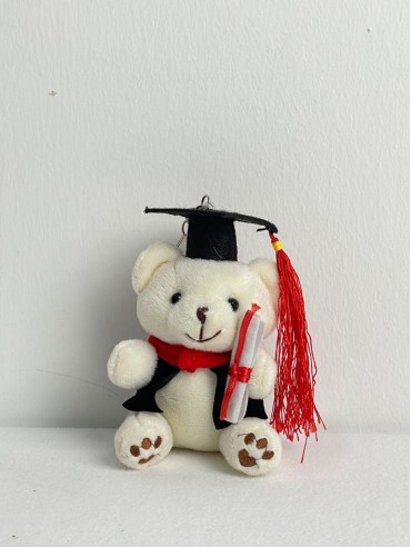 WHITE GRADUATION BEAR