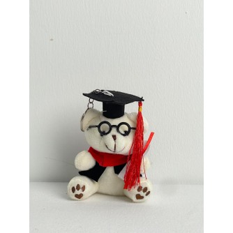 GRADUATION BEAR WITH SPEC