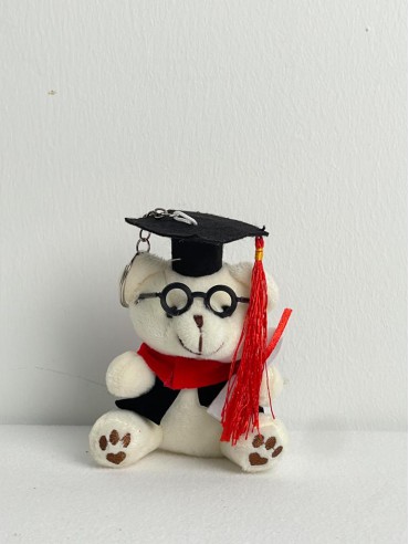 GRADUATION BEAR WITH SPEC