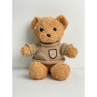 SWEATER TEDDY BEAR 2