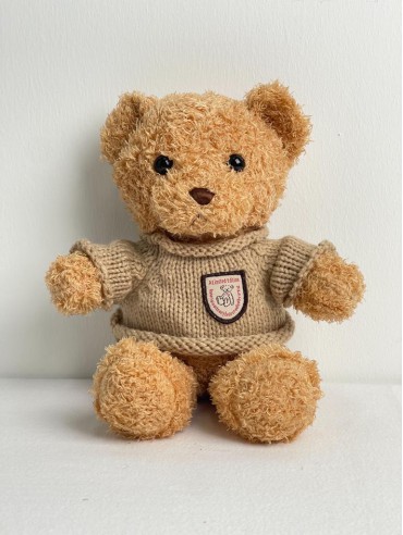 SWEATER TEDDY BEAR 2