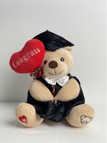 GRADUATION BEAR 2