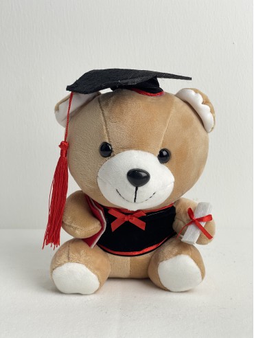 GRADUATION BEAR 1